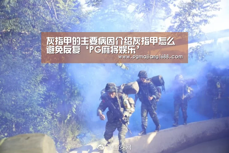 PG麻将在线玩