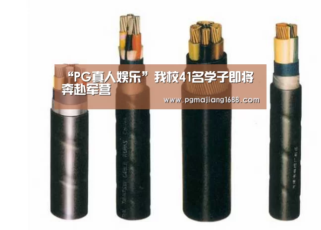 PG麻将娱乐