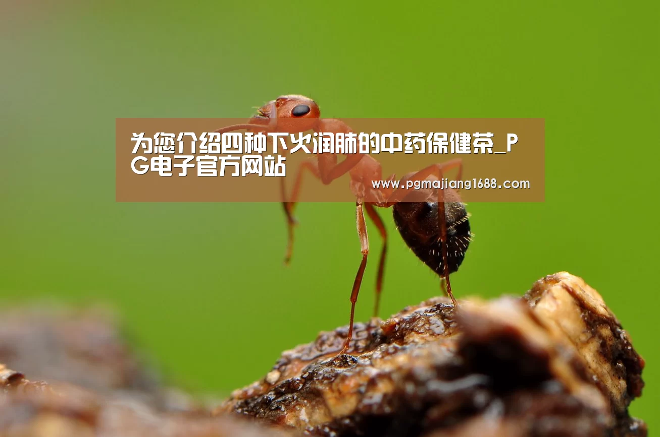 为您介绍四种下火润肺的中药保健茶_PG电子官方网站(图2) PG麻将娱乐