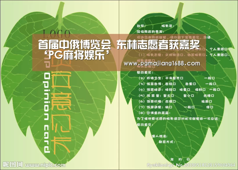 首届中俄博览会 东林志愿者获嘉奖‘PG麻将娱乐’(图2) PG电子官方网站