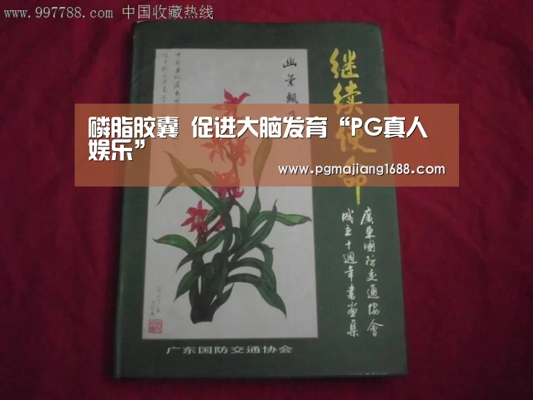 PG真人娱乐
