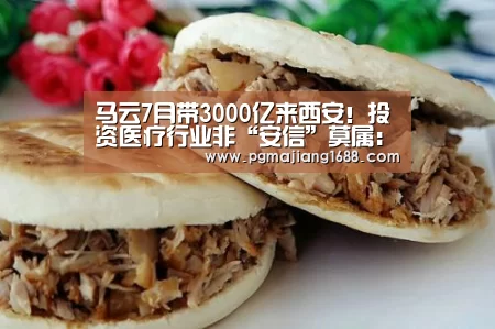 马云7月带3000亿来西安!投资医疗行业非“安信”莫属:PG电子官方网站(图3) PG真人娱乐