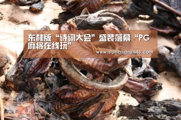 东林版“诗词大会”盛装落幕“PG麻将在线玩”(图1) PG麻将在线玩