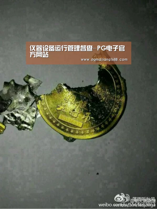 仪器设备运行管理督查-PG电子官方网站(图1) PG麻将在线玩