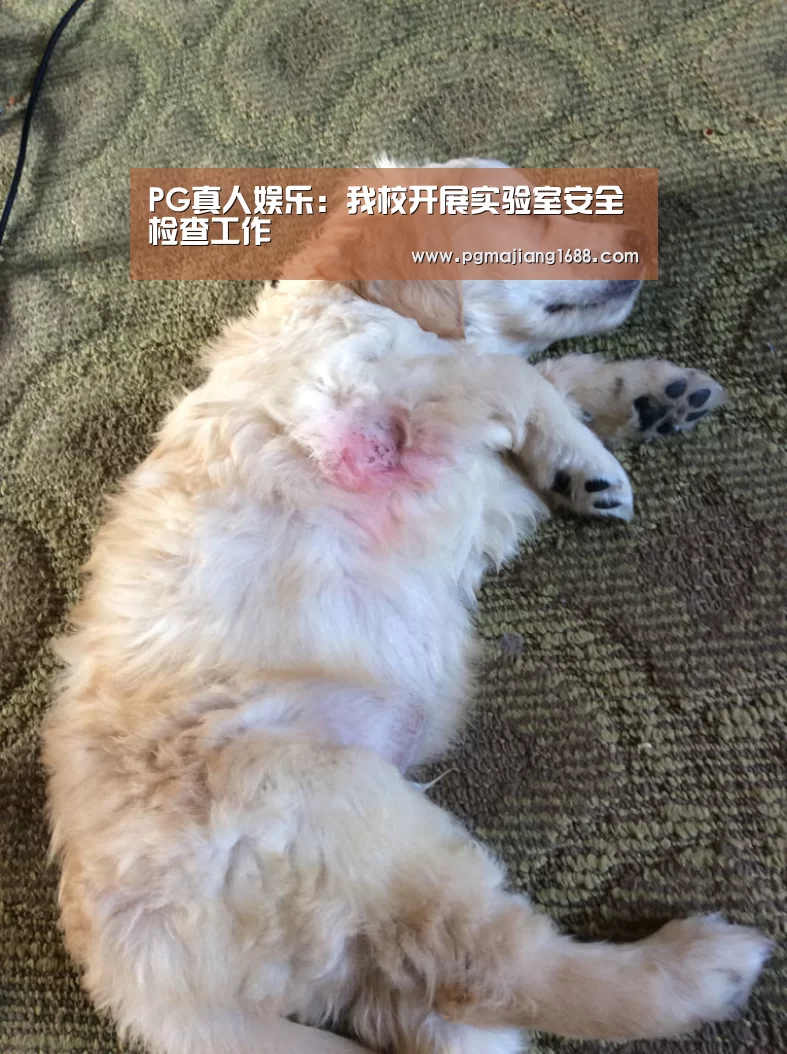 PG真人娱乐:我校开展实验室安全检查工作(图2) PG麻将娱乐