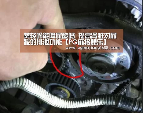 葵轻呤能降尿酸吗 提高肾脏对尿酸的排泄功能【PG麻将娱乐】(图1) PG电子官方网站