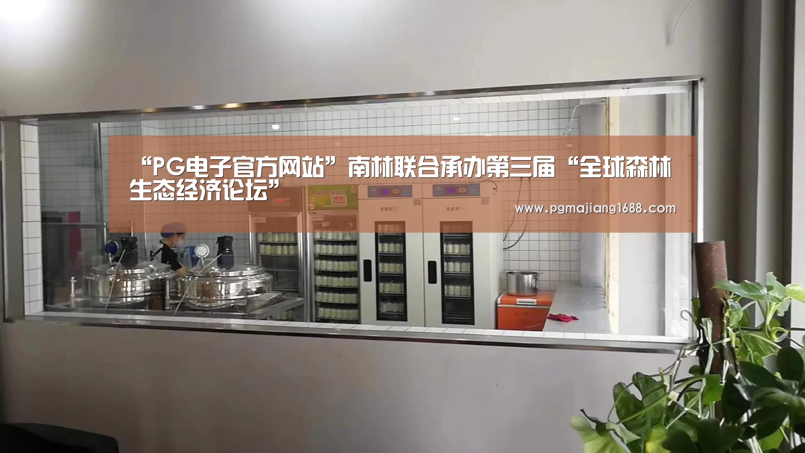 PG电子官方网站