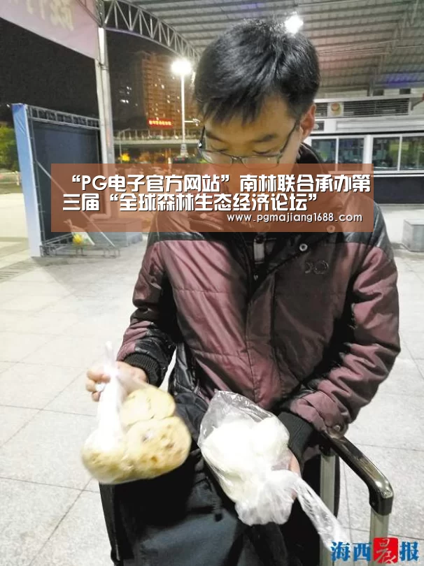 PG电子官方网站
