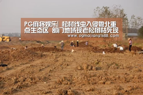 PG麻将娱乐|
松材线虫入侵粤北重点生态区 部门地域现老松树枯死现象(图3) PG麻将在线玩