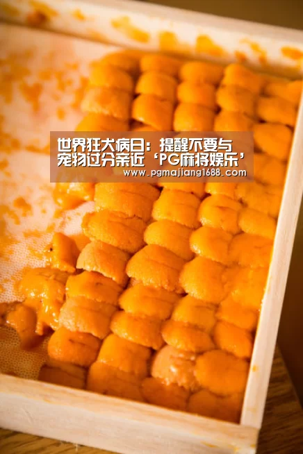 世界狂犬病日:提醒不要与宠物过分亲近‘PG麻将娱乐’(图1) PG麻将娱乐