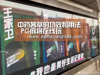 PG真人娱乐
